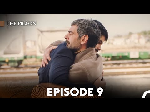 The Pigeon Episode 9 (FULL HD)