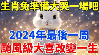 生肖兔準備大哭一場吧！2024年最後一周，颱風級大喜或將改變你的一生！【佛語禪音】#生肖 #命理 #運勢 #屬相 #風水