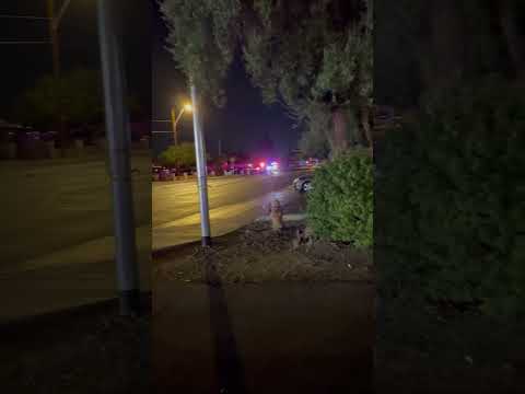 27th Ave  - The Blade - Phoenix, AZ - Crime Scene