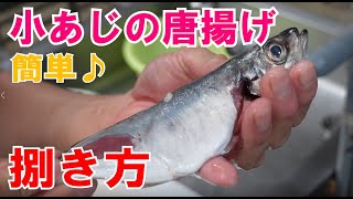 小アジの簡単なさばき方、唐揚げ用に（エラと内臓を簡単に取る方法）-Easy way to remove small horse mackerel ella and internal organs-