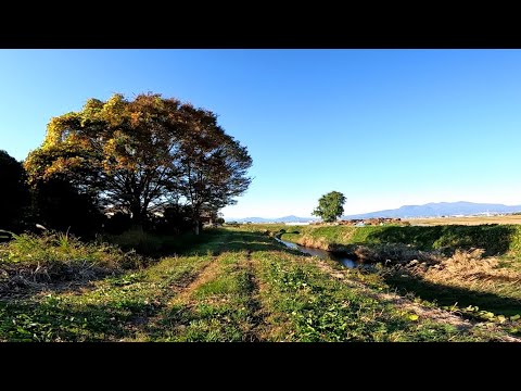 Strolling Through Beautiful Countryside Views | Peaceful Walk in Rural Farmlands