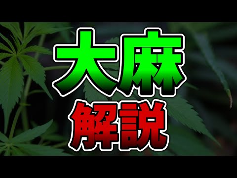 合法化されたりされなかったりする大麻の解説【ゆっくり解説】