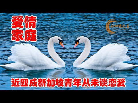 近四成新加坡青年从未谈恋爱，但大多数青年愿意组建家庭。#恋爱 #青年 #家庭 #结婚 #生育 #新加坡 #新加坡之音 #singapore #新加坡新闻 #新加坡生活 #sgnews