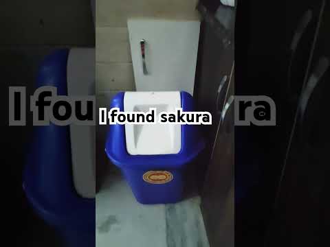 I found Sakura 🗑️