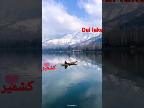 #kashmir #turismo #kashmirtourism #dallake #dallake #dallakekashmir  #fypシ゚ #fyp #viralvideo