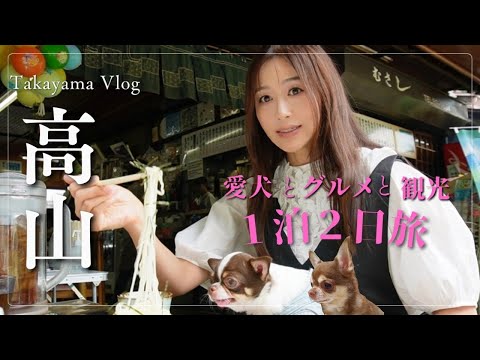 【愛犬とおでかけ】岐阜・飛騨高山＆古川の愛犬と行けるグルメと観光を堪能してきた/雲海【岐阜旅行】