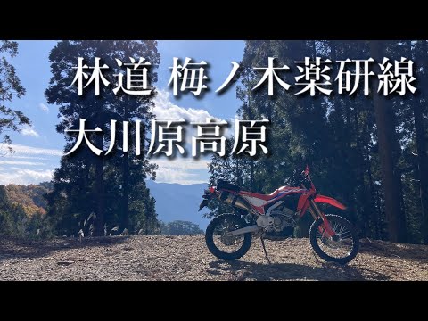 林道 梅ノ木薬研線（徳島県上勝町）【CRF250Ls(MD47)】