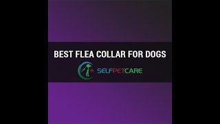 Bayer Seresto Flea and Tick Collar for Dogs