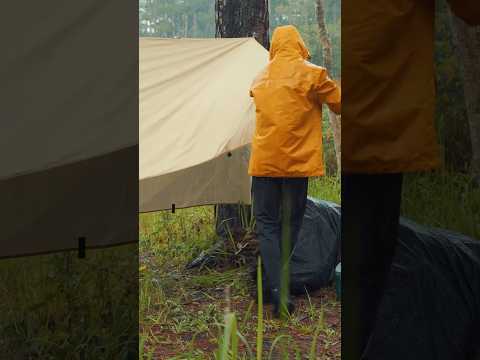 Camping in the rain #camping #asmr #campinginforest #cafe #campinglife #raindays #solocamping