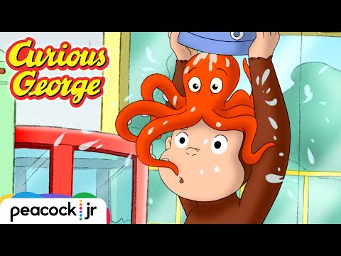 George's Wet and Wild Aquarium Day! | CURIOUS GEORGE