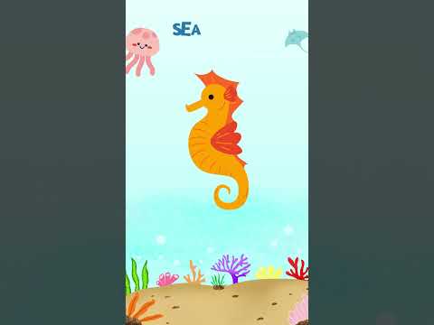 Fun Sea Animals for Kids 🌊🐠 | Learn Ocean Creatures in 1 Minute!