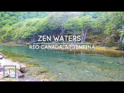 Zen Waters - 4K Relaxing Sounds of a Temperate Rainforest - Gentle Glacier Stream