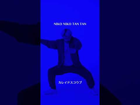 NIKO NIKO TAN TAN - カレイドスコウプ