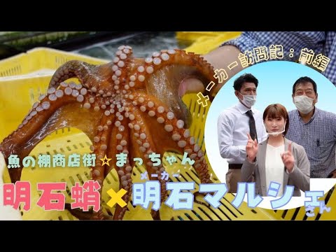 【魚の棚商店街】明石蛸を締める！【明石マルシェさん】おすすめのお店紹介！