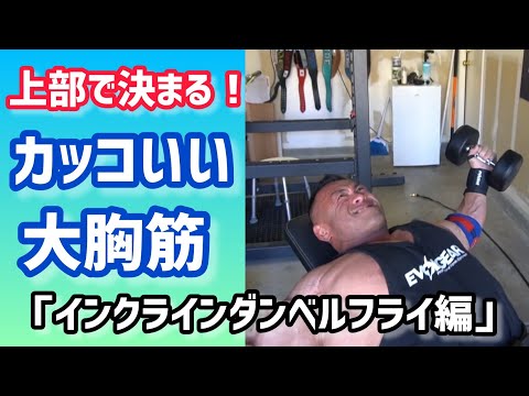 「初心者〜中級者向け」大胸筋上部2種目〜インクラインダンベルフライ編〜 【切り抜き】Hidetada Yamagishi