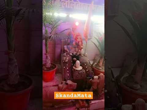 5th day of Navratri #viralvideos #trending #durgapuja #prayagraj #ytshorts #song #reels #support #yt