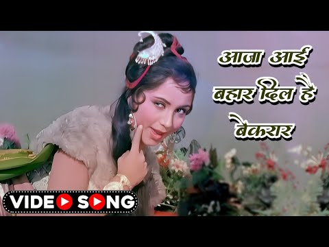 Aaja Aai Bahar Dil Hai Bekarar | Hindi Romantic Song | Lata Mangeshkar Song | Sadhana | Shami Kapoor