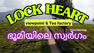 FIRST TEA FACTORY IN KERALA|ഭൂമിയിലെ സ്വർഗംLockhart #lockhart #munnar #tea #teafactory  WatchNGrasp