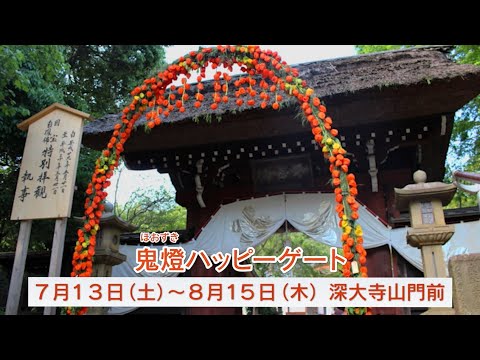 深大寺鬼燈ハッピーゲート(2024年7月5日号)