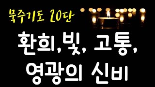 묵주기도/묵주기도 20단 전체/환희 의신비/빛의 신비/고통의 신비/영광의 신비(기도중간 광고없음)