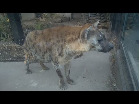 大宮公園小動物園に行って参りました！ #大宮公園小動物園 #travel #大宮アルディージャ #さいたま市