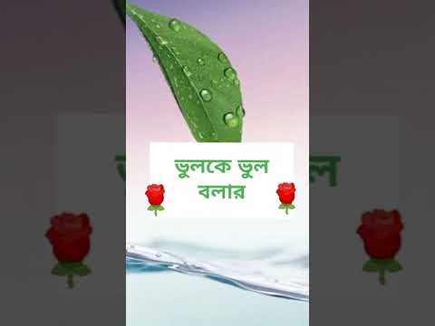 যদি ঠিককে ঠিক বলার সাহস না থাকে 🌹#shorts