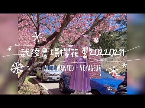 Voyageur - All I Wanted丨2022武陵農場櫻花季