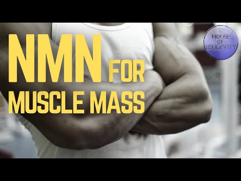 NMN Boosts Muscle Mass and Liver Health