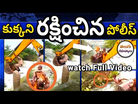 nagarkurnool news today|nagarkurnool news|nagarkurnool Hom god save dog| save dog|Telugu Secrets