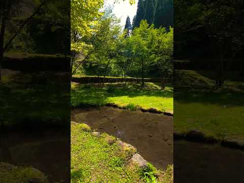 【癒し動画】熊本県阿蘇郡南小国町　立岩水原公園　#松山千春　#shorts