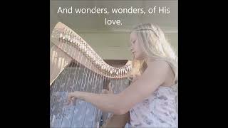 Nature Harp - Joy to the World (LIVE Christmas Performance at a Rest Home)