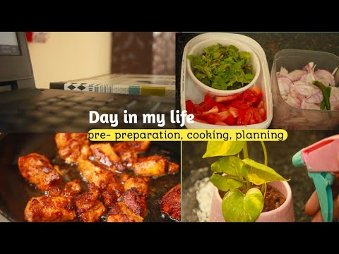 🌸#vlog ❤️Random day in my life/ pre-preparation for school/chicken biryani & chicken 65 recipe🍗🐔