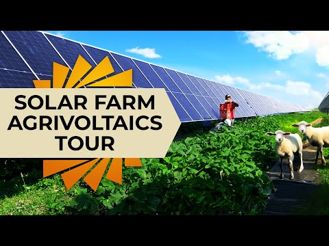 Inside a Real Solar Agrivoltaics Farm (Solar Farm Tour)