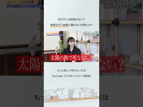 【切り抜き】天日干しは効果ナシ!?梅雨前にダニの徹底駆除を！｜被害に遭わない対策とは？教えて!!〇〇先輩!! #新築 #注文住宅 #ダニ #対策