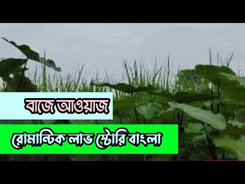 বাজে আওয়াজ ||  রোমান্টিক লাভ স্টোরি বাংলা || Anika Dairy