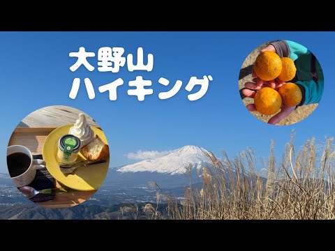 【アラフィフ主婦の日帰りハイキング】大野山の巻