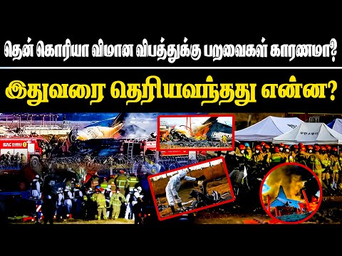 தென்கொரிய விமான விபத்துக்கு பறவைகள் காரணமா?இதுவரை தெரிய வந்தது என்ன? | Inraiya pathivu