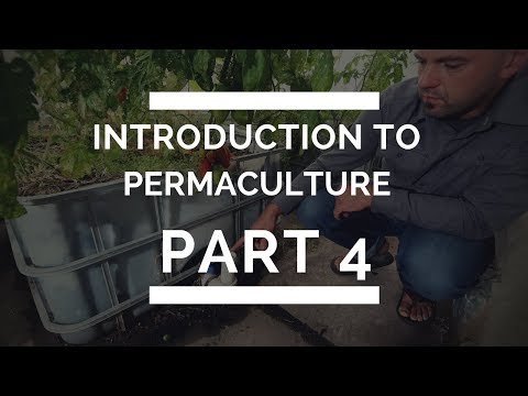 Introduction to Permaculture Part 4 - Swales,  Rainwater Tanks & Buying The Right Piece of Land