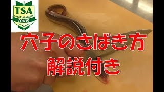 穴子（アナゴ）のさばき方（背開き・関東開き）│How to fillet sea ell│東京すしアカデミー