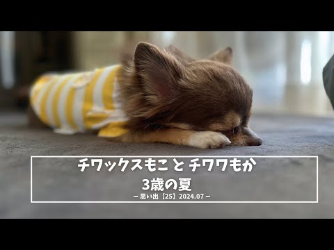 3歳の夏の思い出【25】