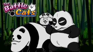 All Panda Units in The Battle Cats