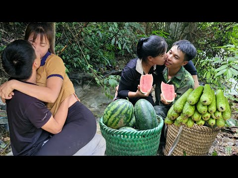 Harvesting gourds and watermelons to sell at the market - Daily life, Living on the farm with nature