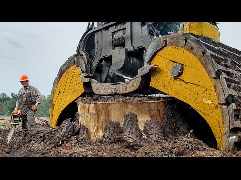 You Won't Believe What This Heavy Machinery Can Do!