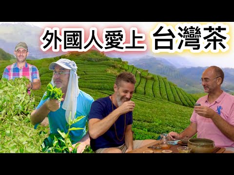 愛上台灣茶的外國人來台灣種茶推廣🇹🇼台灣茶 🍵 Foreigner Falls In Love With Taiwanese Tea￼🍵