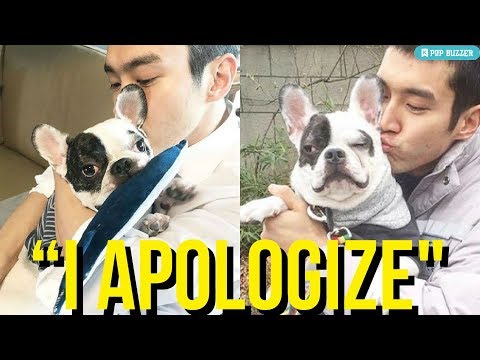 Super Junior Siwon’s Dog Kills A Woman, Siwon Apologizes For Her Death