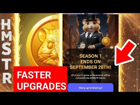 Hamster Kombat New Update - How To Increase Your Airdrop Points Faster