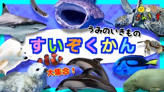 水族館へ行こう！サメ シャチ イルカ ジンベイザメ 海の生き物 お魚さんたちが大集合！！Aquarium ニモも出てくるよ〜！気分はスキューバダイビング♪