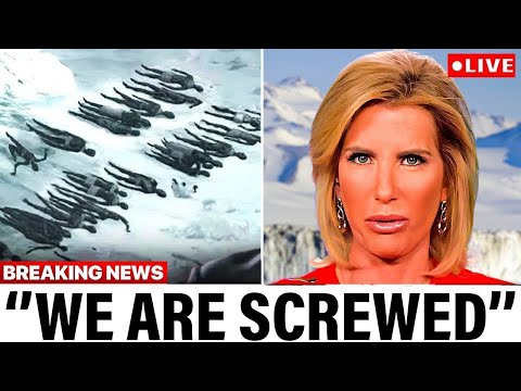 Laura Ingraham JUST Revealed LAST And MOST Terrifying Secret We Are NOT Supposed To Know