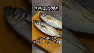 アジの開き方〜天ぷら・フライ用〜