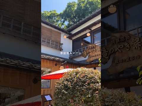 【34歳ひとり旅】徳島3日目/徳島ラーメン食べて眉山へ